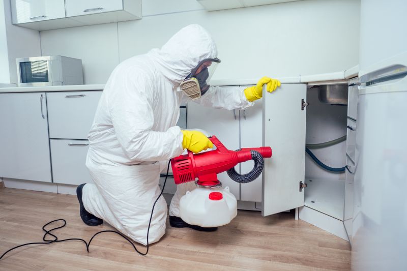 Mouse Infestation Treatment