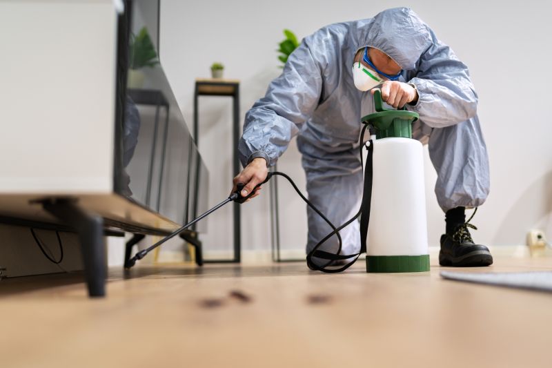Roach Fumigation in Tampa, FL
