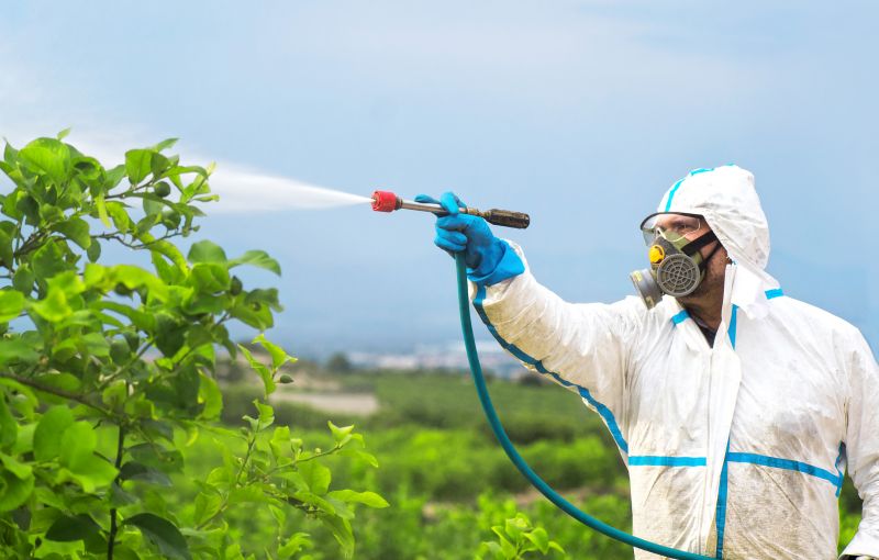 Spider Fumigation Service in Bellingham, WA